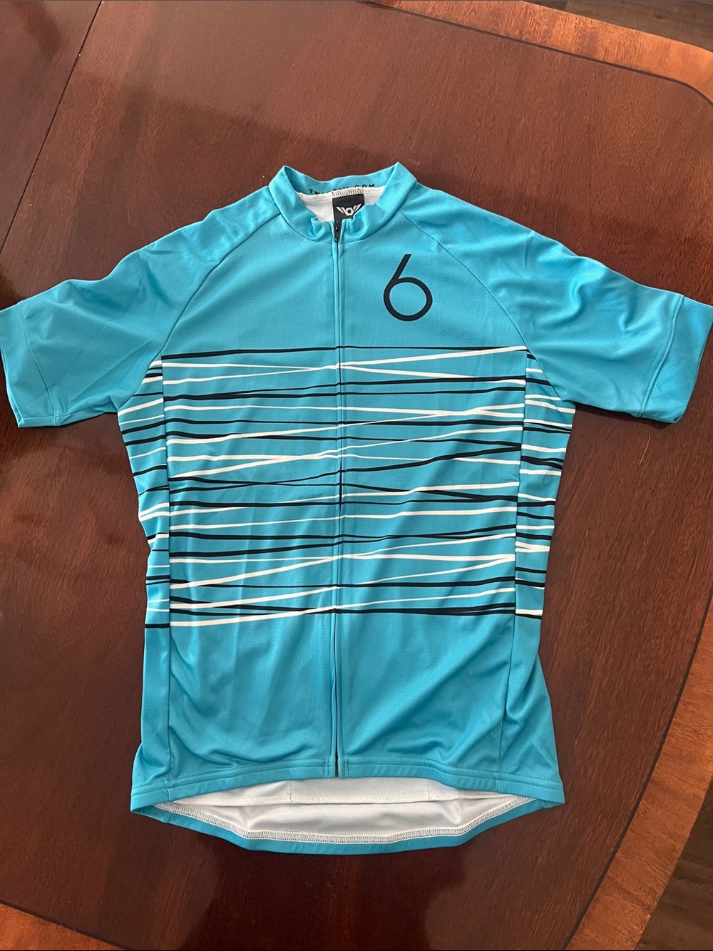TWIN SIX Blue Striped Cycling Jersey with '6' Logo
